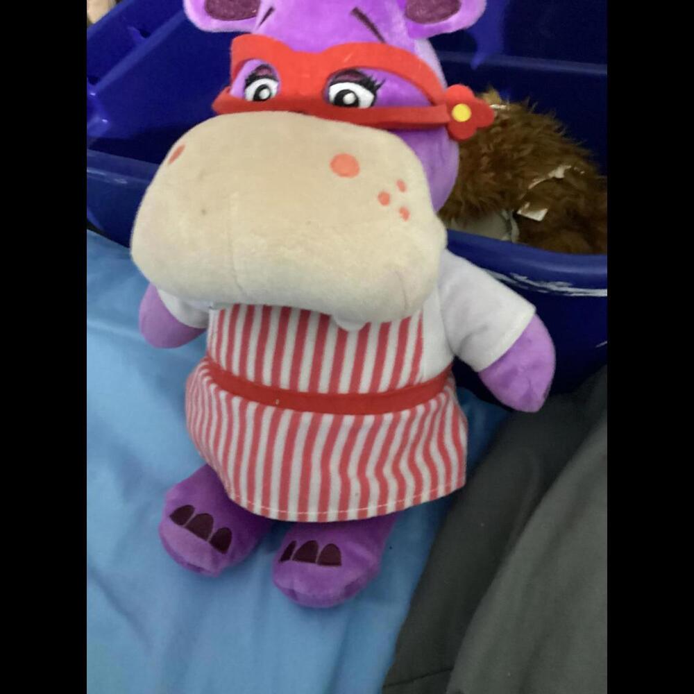 Hallie the hippo